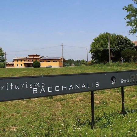 Agriturismo Bacchanalis Ziano Piacentino Экстерьер фото