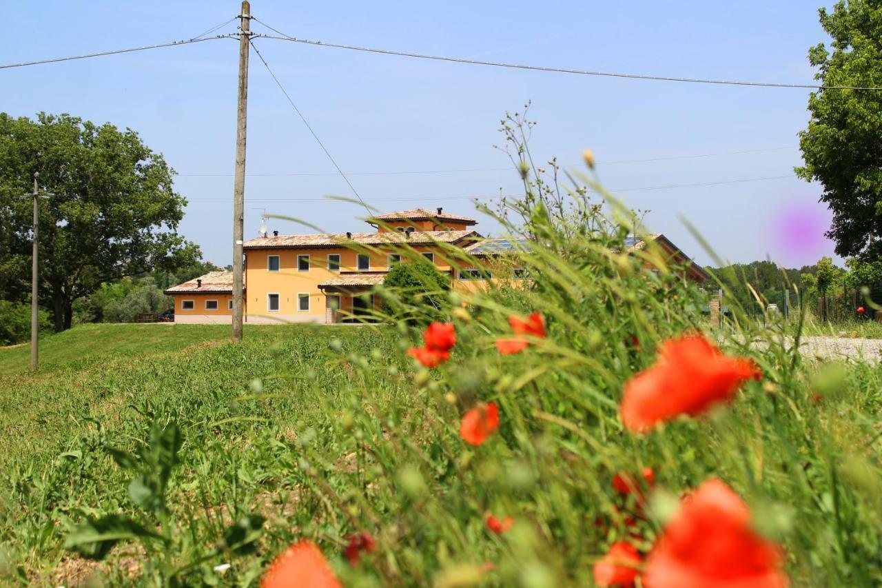 Agriturismo Bacchanalis Ziano Piacentino Экстерьер фото